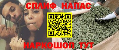 мдпв Партизанск