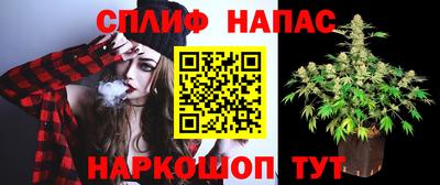 индика Первоуральск